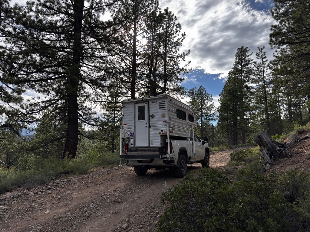 Off-grid on a forest two-track